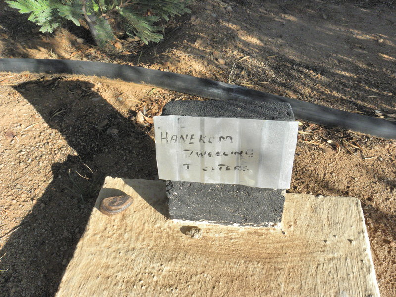 HANEKOM :: HANEKOM