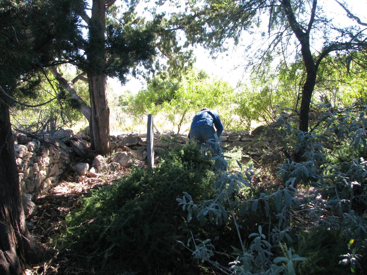 5. Trying to clear the bushes