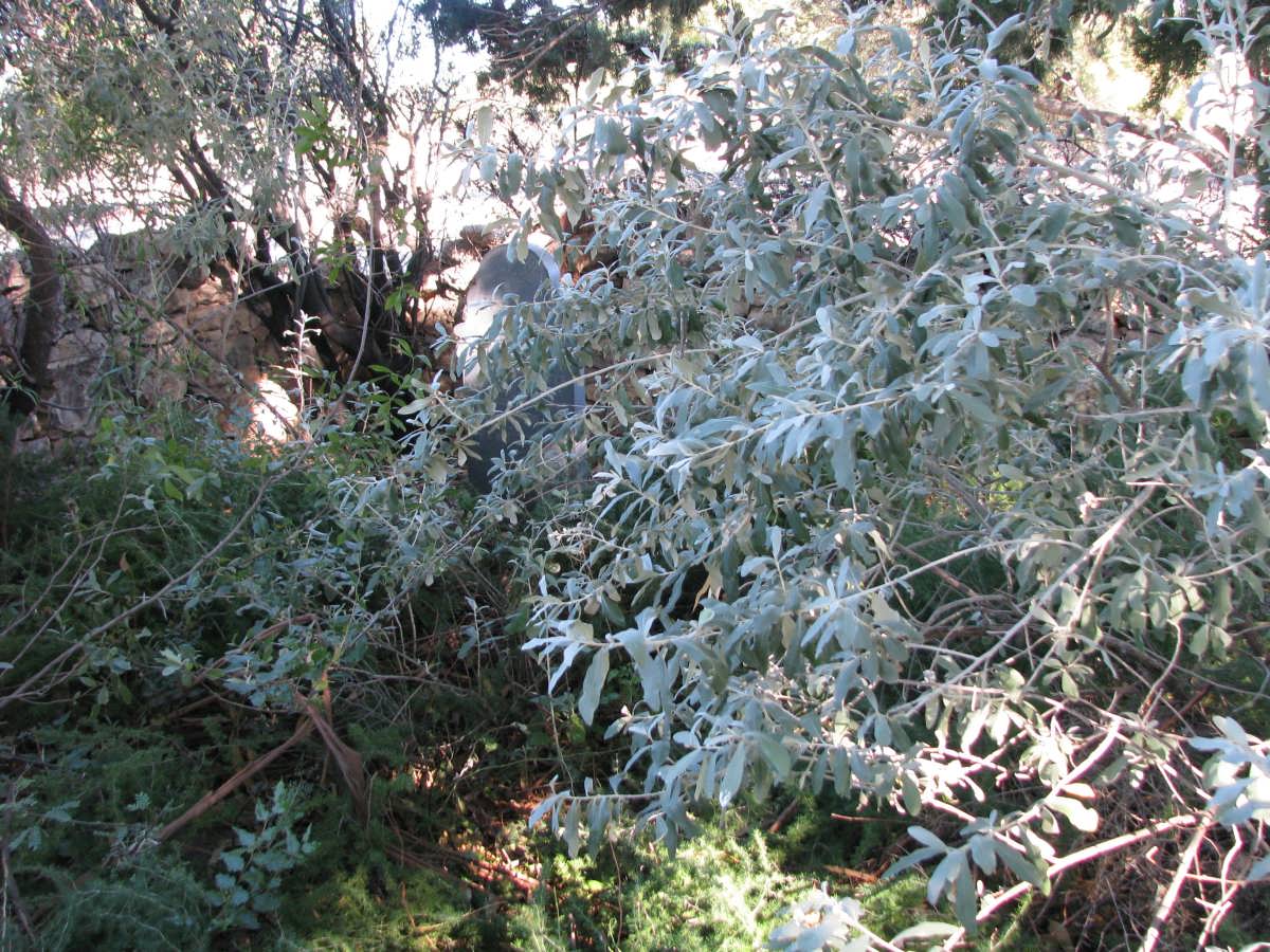 4. Overview