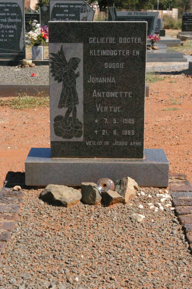 VERTUE Johanna Antoinette 1985-1989