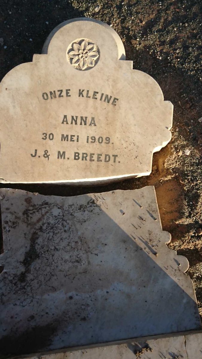 1. Vandalism