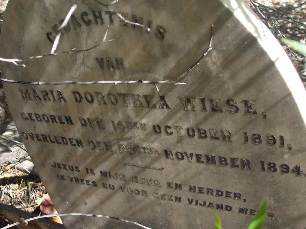 WIESE Maria Dorothea 1891-1894