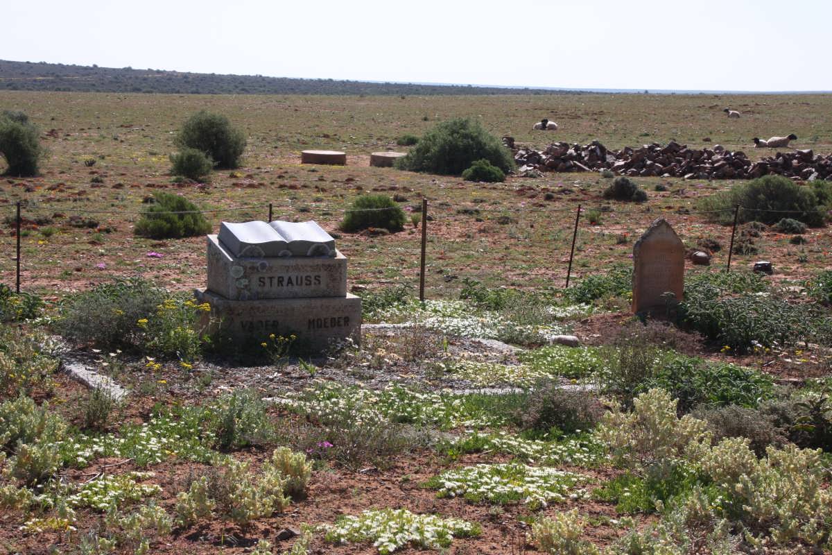 2. Overview