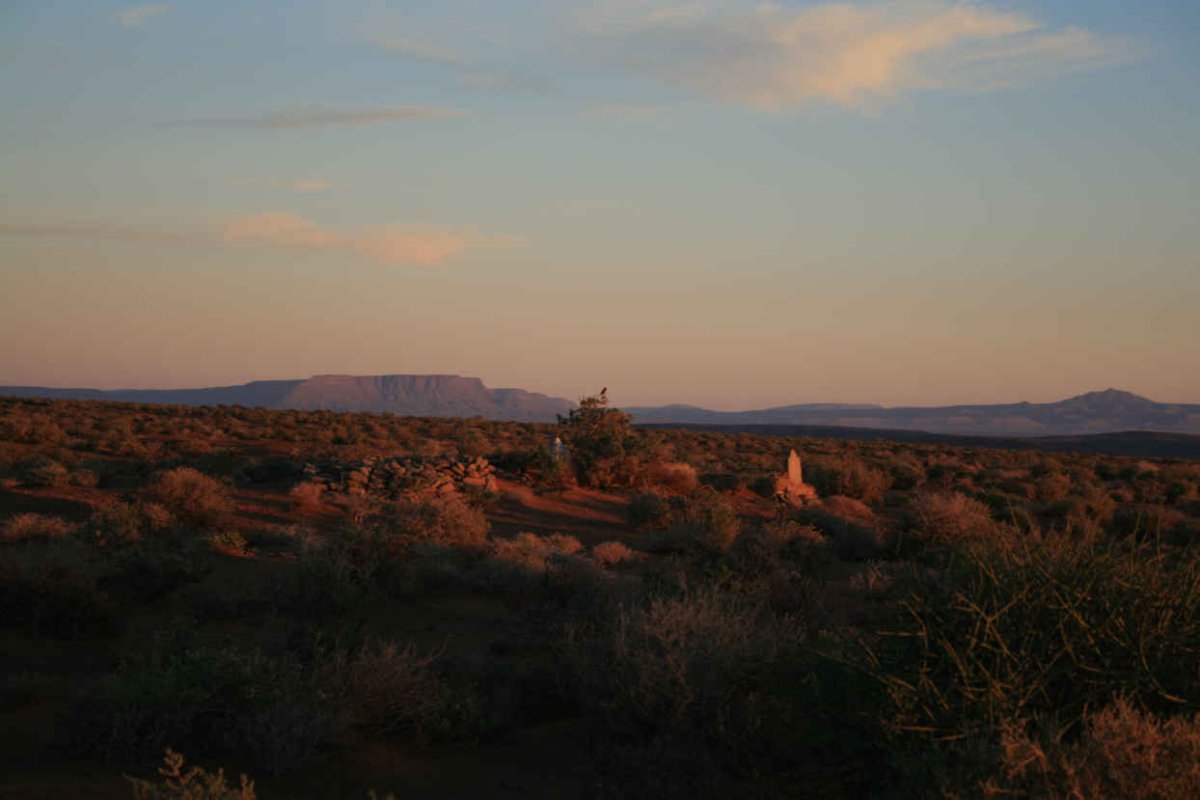 1. Oorsig