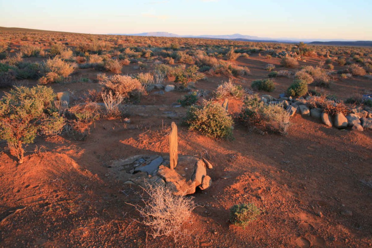 1. Overview