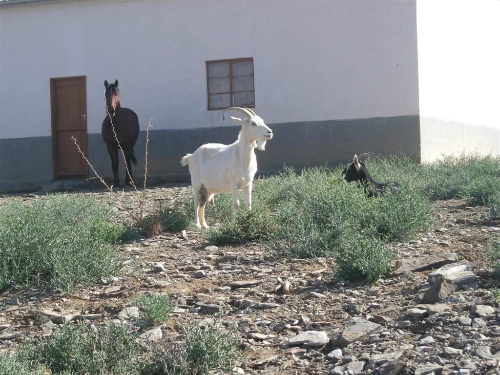 4. Standing guard