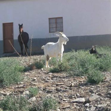 4. Standing guard