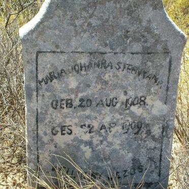 STEENKAMP Maria Johanna 1908-1909