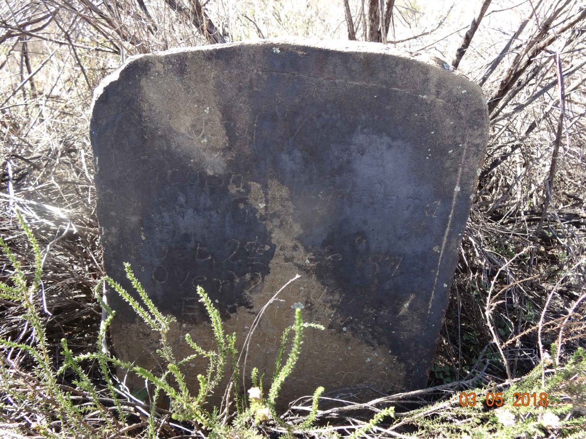 NEL Jacoba Magdalena nee STEENKAMP 1872-1929