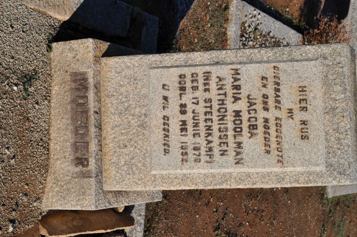 ANTHONISSEN Jacoba Maria Moolman nee STEENKAMP 1876-1952