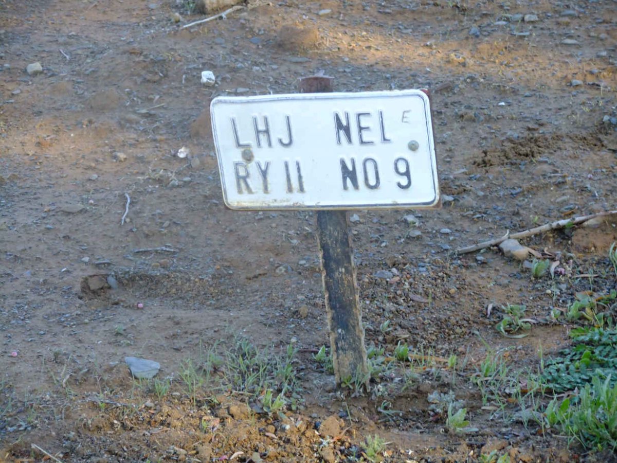 NEL L.H.J.