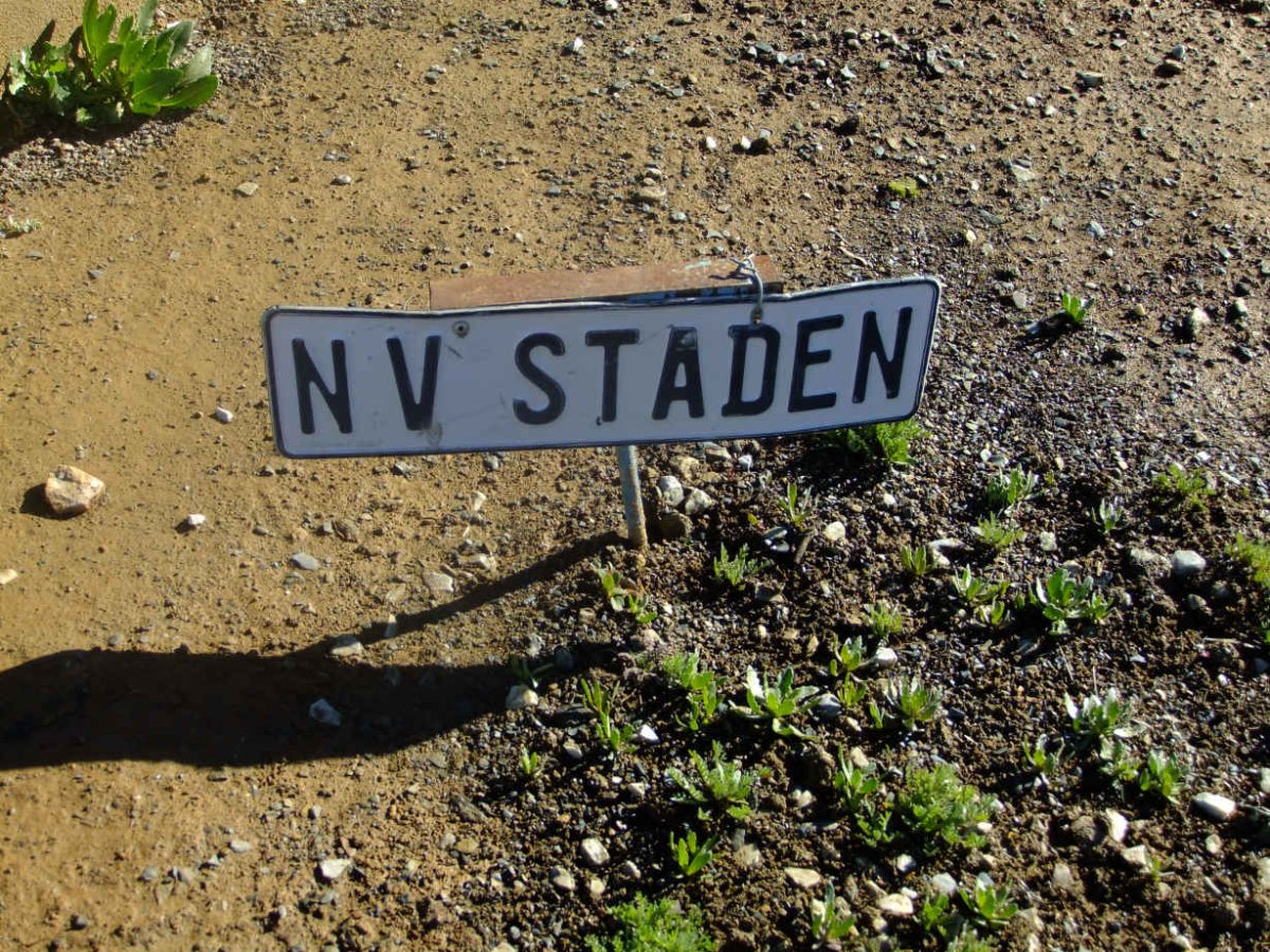 STADEN N., v.