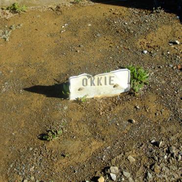 ? Okkie