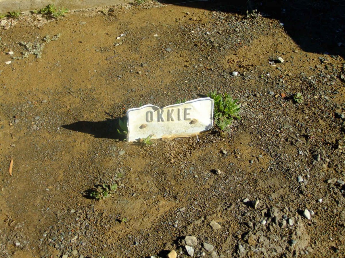 ? Okkie