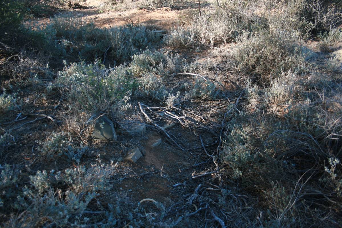 2. Overview