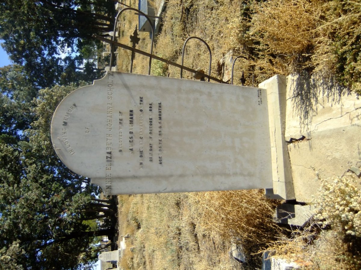 BAUMANN Annie Elizabeth Johanna nee SCHOLTZ -1895