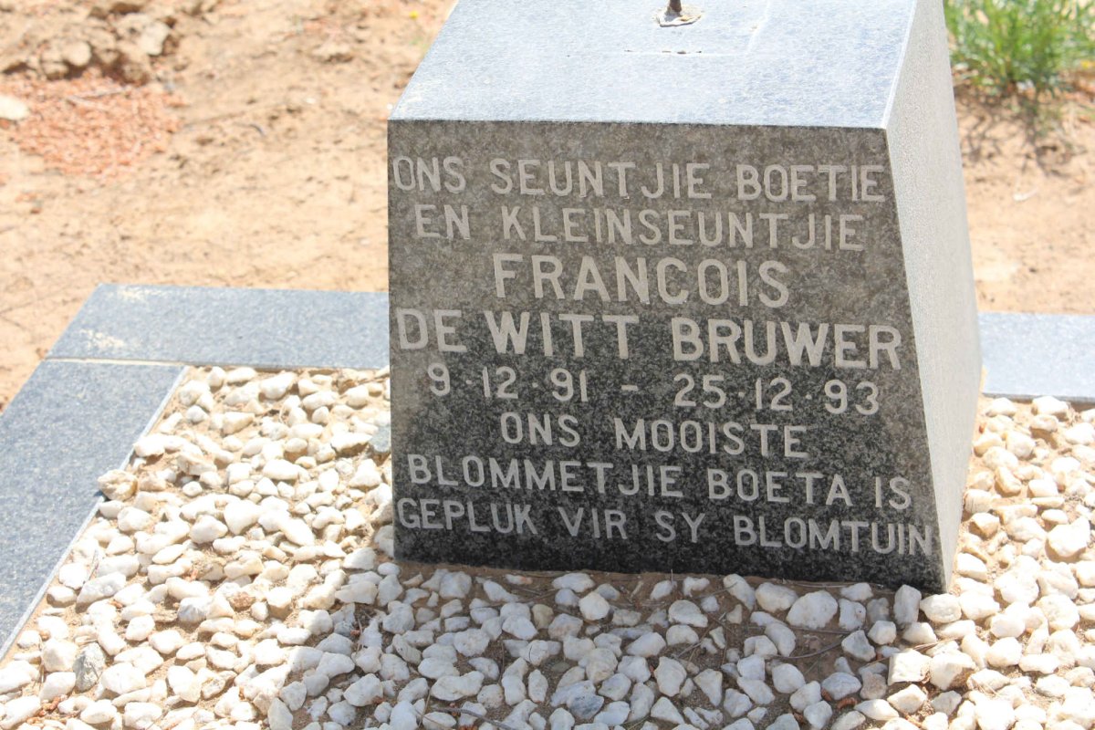 BRUWER Francois De Witt 1991-1993