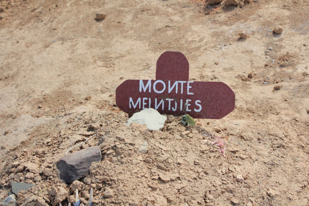 MEINTJIES Monte