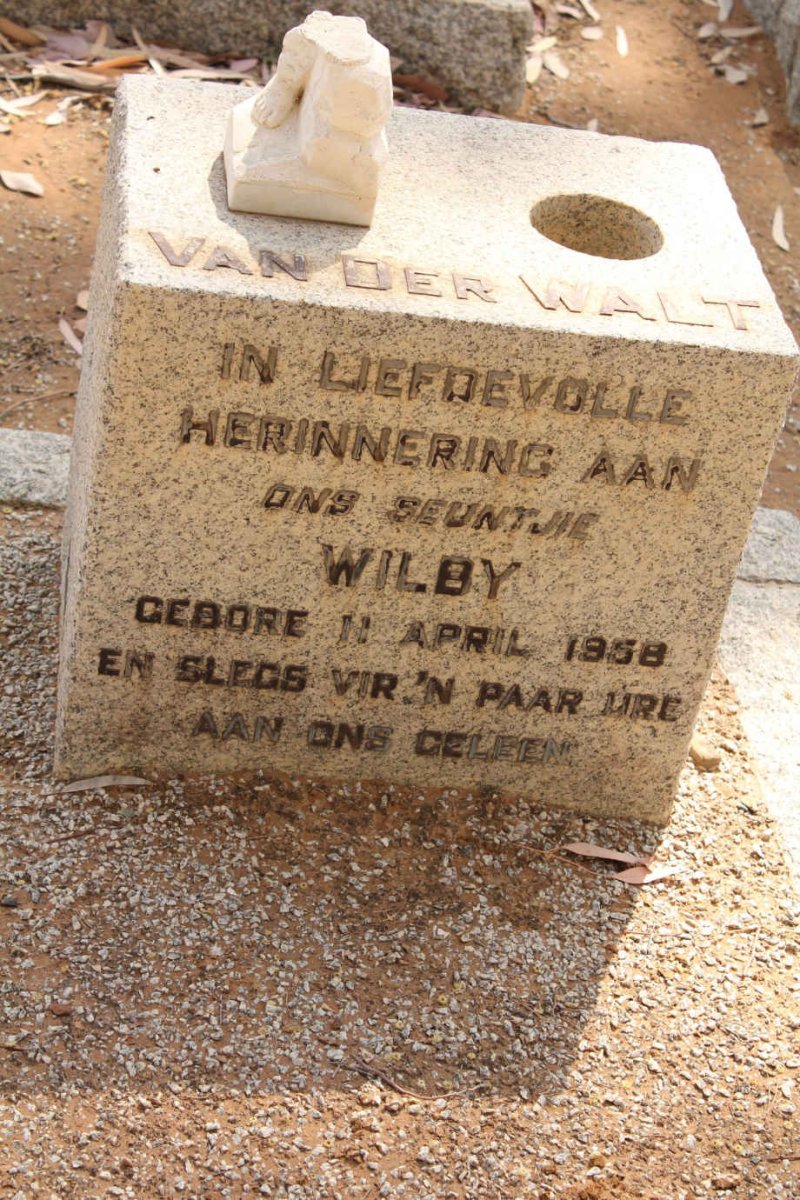 WALT Wilby, van der 1968-