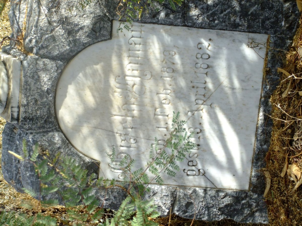 ?attau Gisela 1879-1982