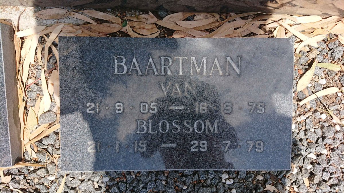 BAARTMAN Van 1905-1979 &amp; Blossom 1915-1979