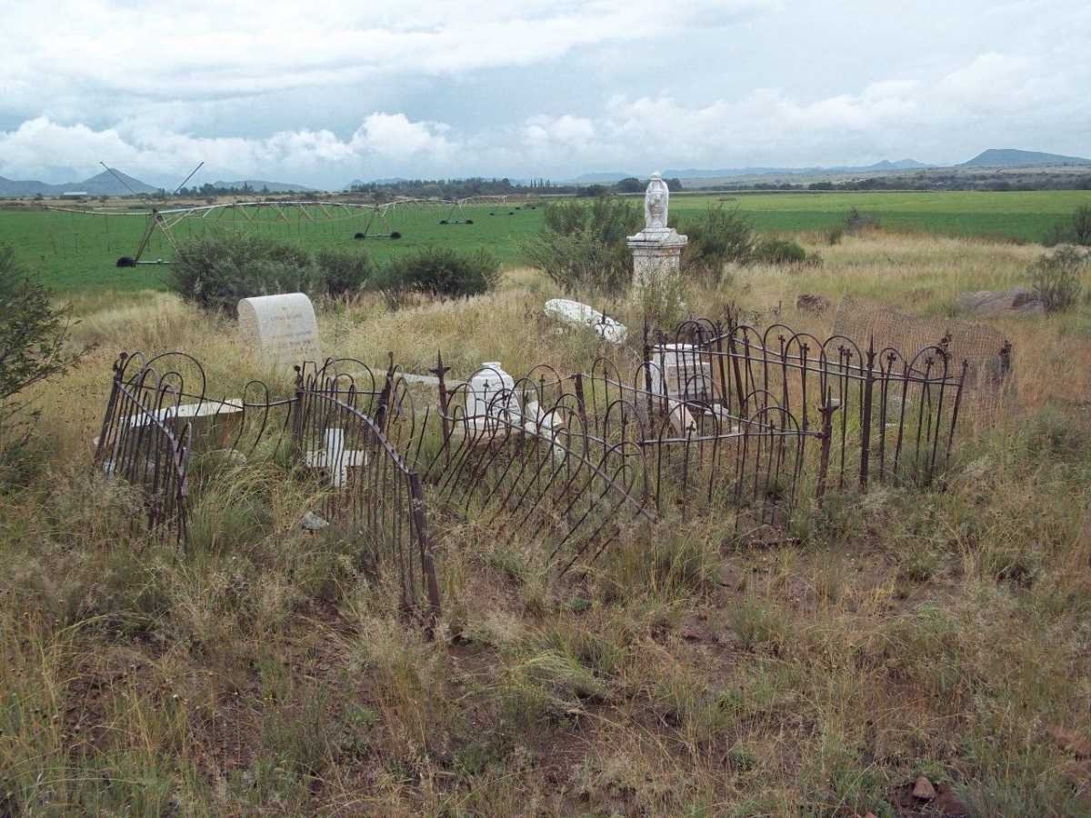1. Overview in cemetery