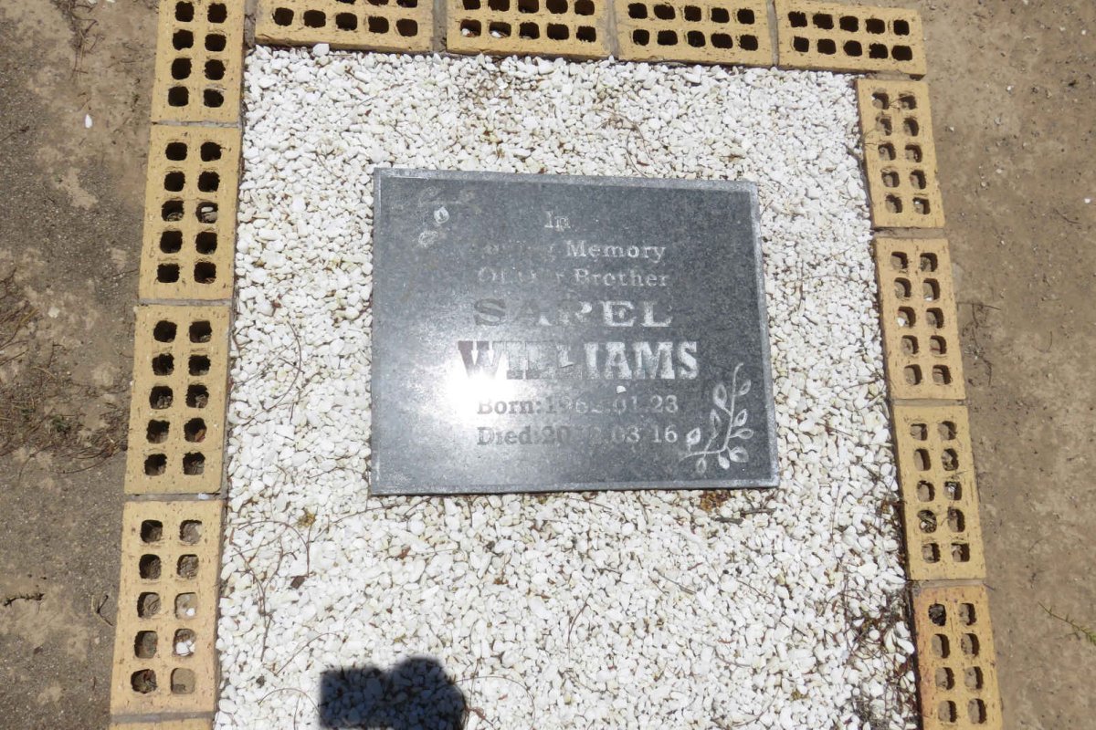 WILLIAMS Sarel 1962-2012