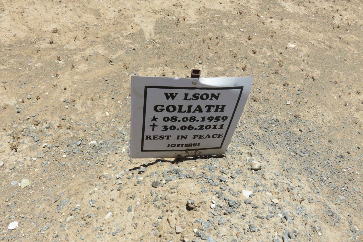 WILSON Goliath 1959-2011