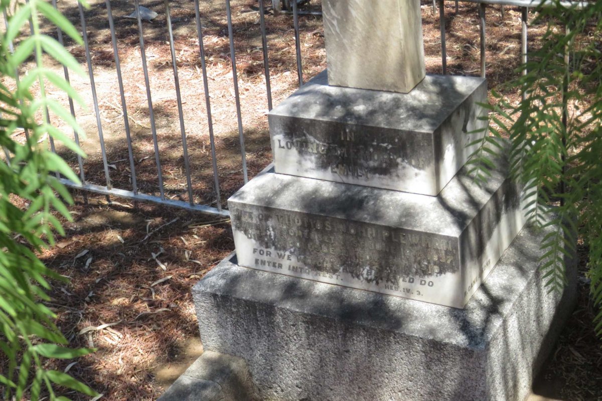 PLEWMAN Emily 1837-1910
