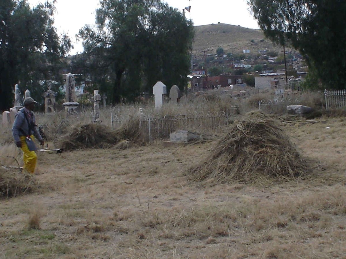 3. Overview