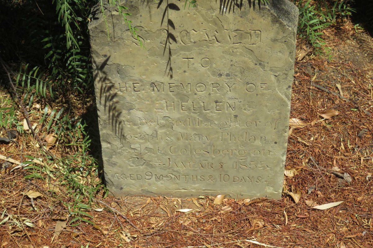 PHELAN Hellen -1855