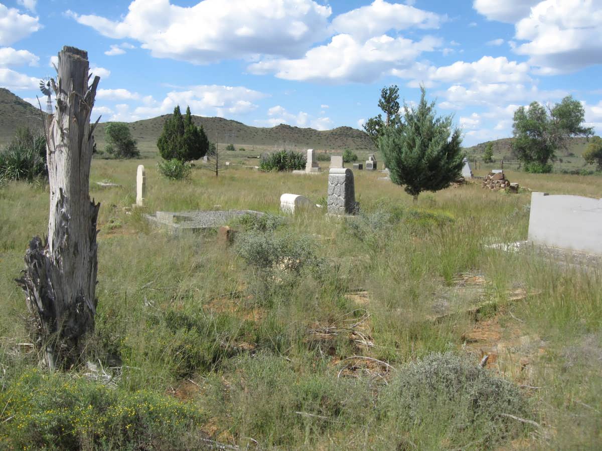 Overview