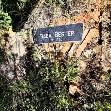 BESTER 1920-