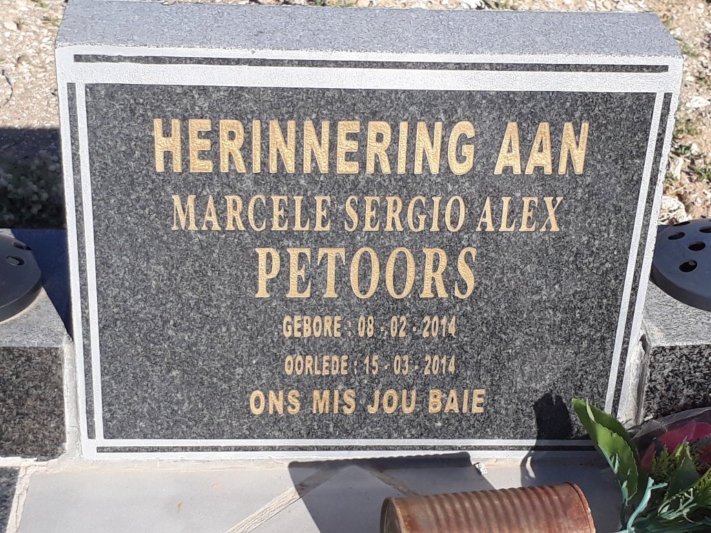 PETOORS Marcele Sergio Alex 2014-2014