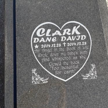 CLARK Dane David 2014-2014
