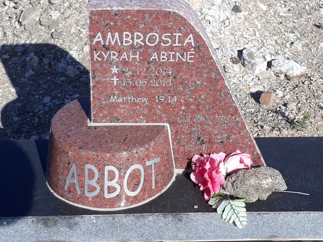 ABBOT Ambrosia 2014-2015