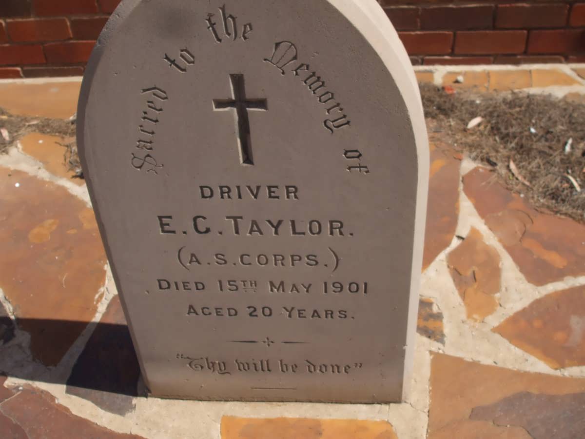 TAYLOR E.C. -1901