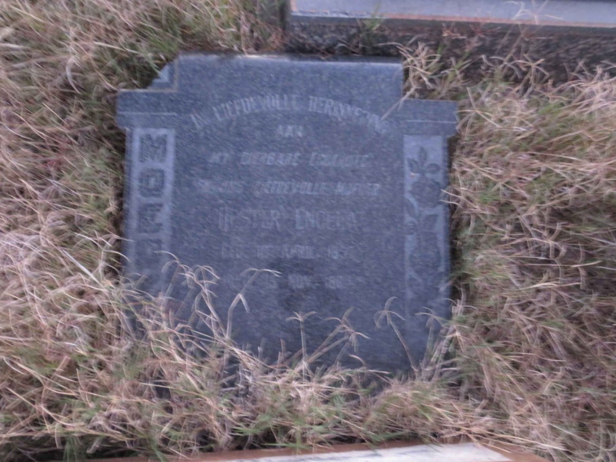 ? Pieter 1893-1973 & Hester Engela _1