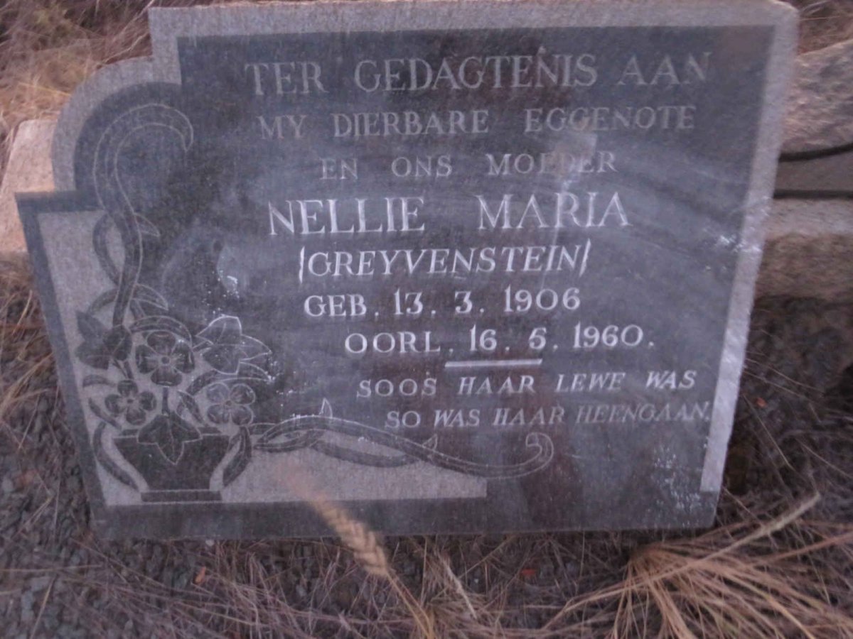LUYT Jacobus Rudolff 1901-1976 & Nellie Maria GREYVENSTEIN 1906-1960 _3