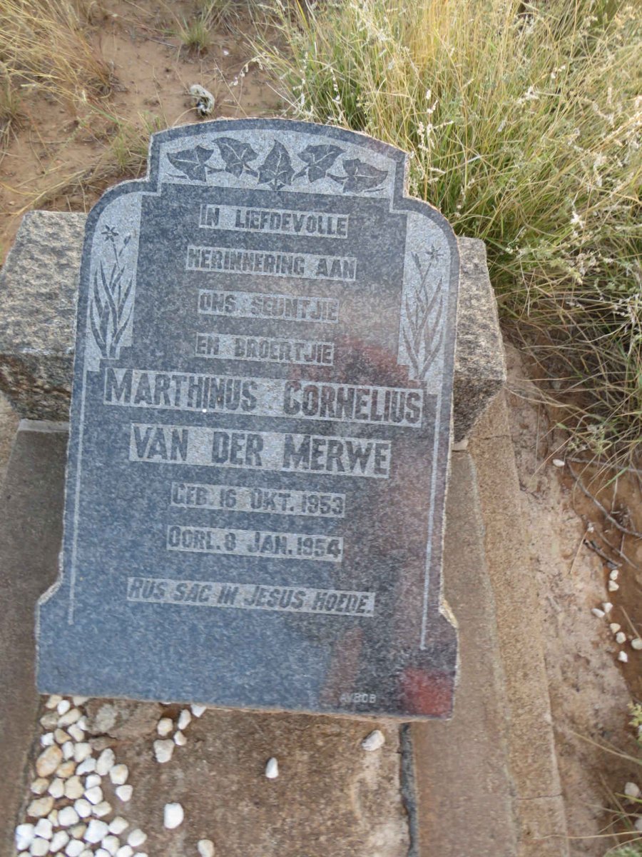 MERWE Marthinus Cornelius, van der 1953-1954