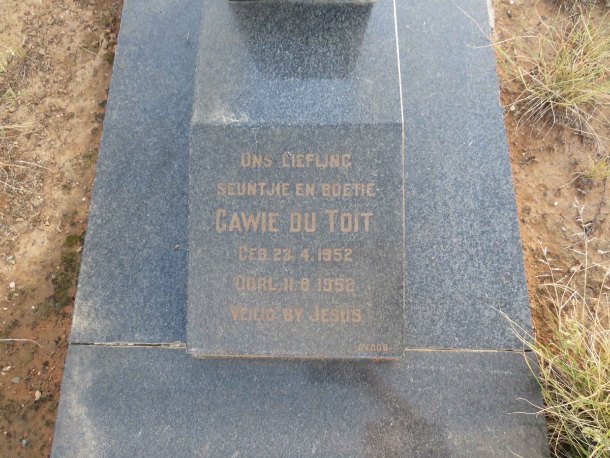 TOIT Gawie, du 1952-1952