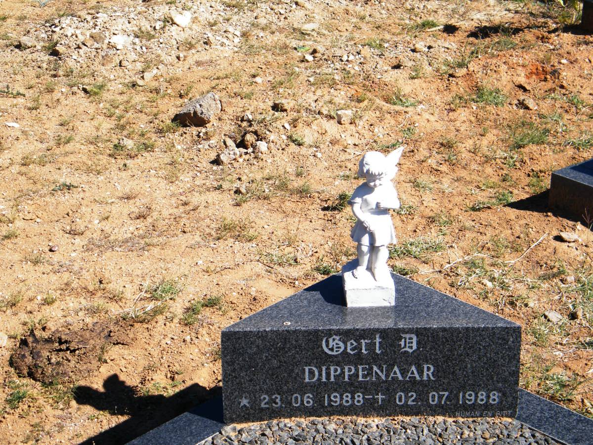 DIPPENAAR Gert B. 1988-1988