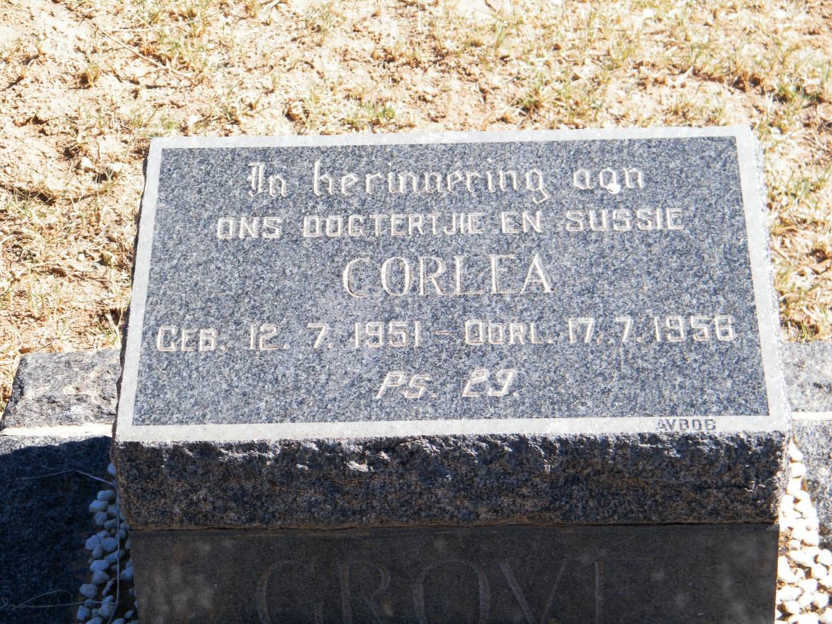 GROVE Corlea 1951-1956