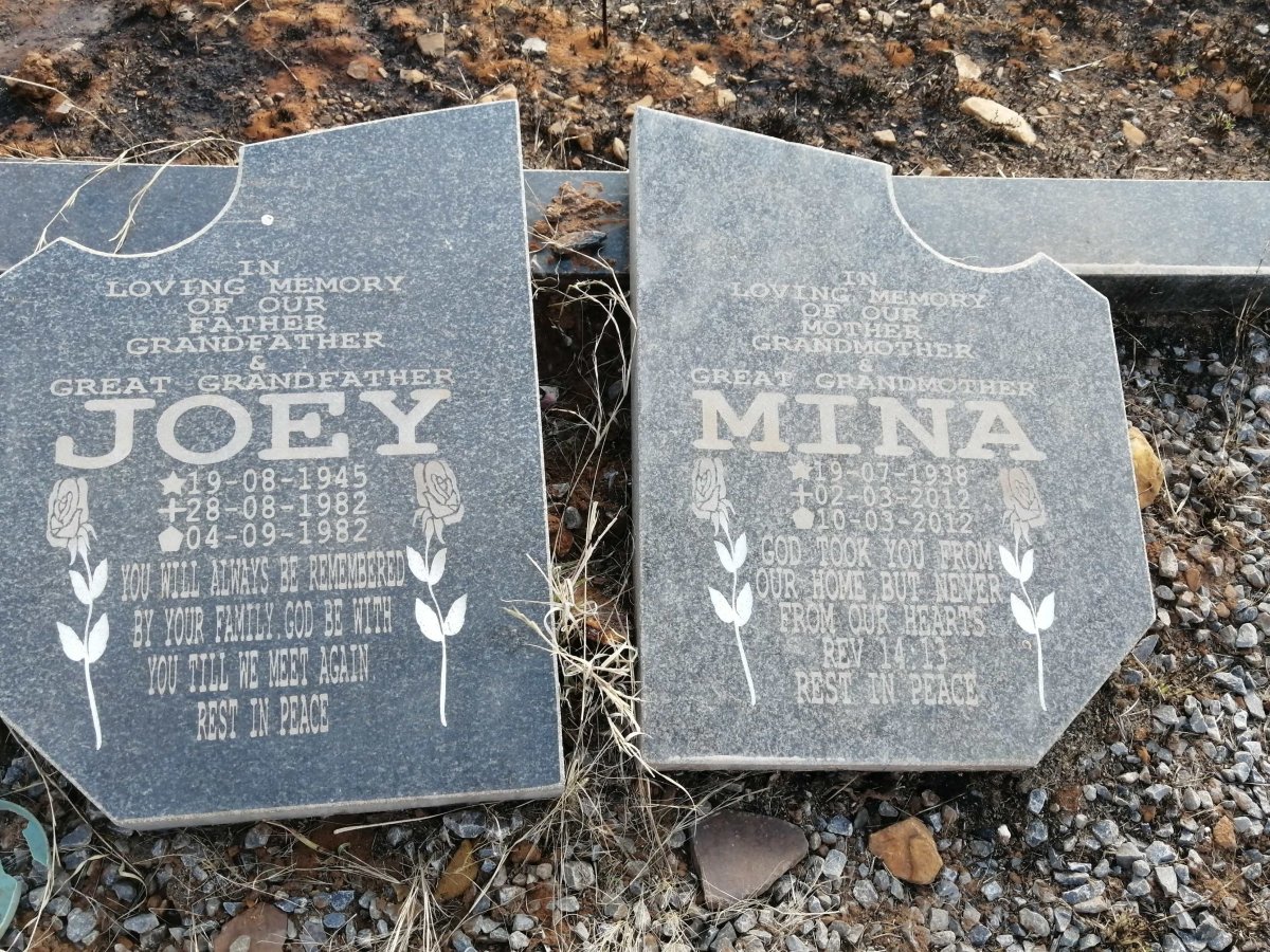 ? Joey 1945-1982 &amp; Mina 1938-2012