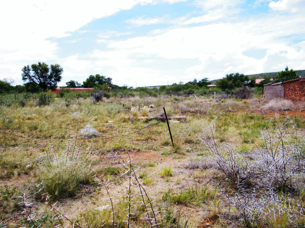 1. Oorsig/Overview