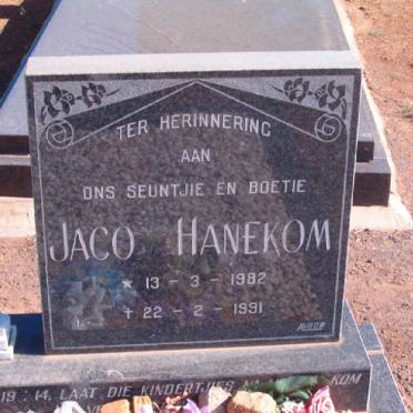 HANEKOM Jaco 1982-1991