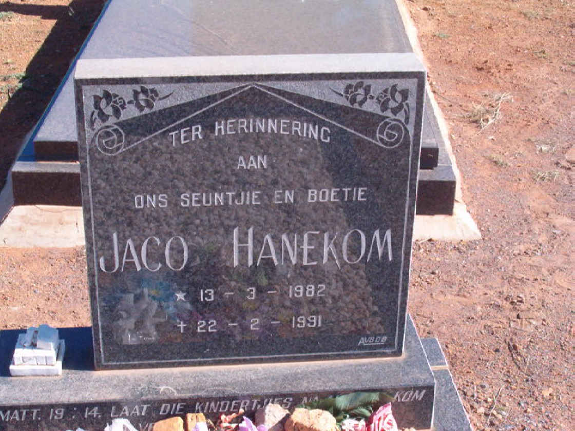 HANEKOM Jaco 1982-1991