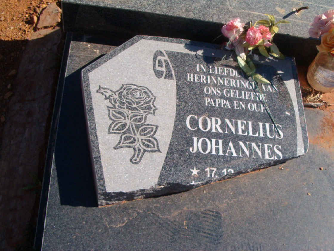 VRIES Cornelius Johannes, de 1950-