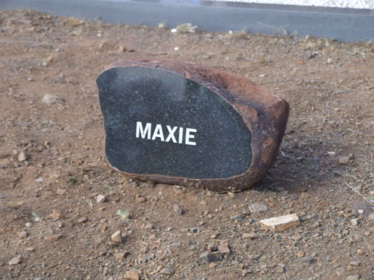 ? Maxie