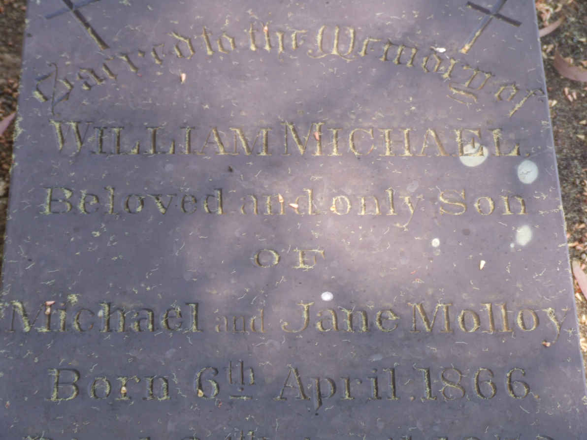 MOLLOY William Michael  1866-1872